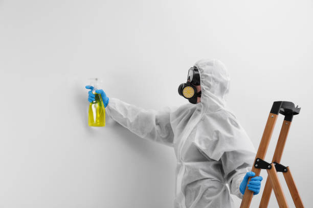 Best Mold Remediation for Healthcare Facilities  in USA